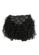 Cloudy Curly 3C/3B | Double Drawn Classic Clip-in Extensions